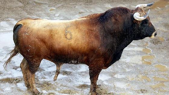 Jaronero, cuarto toro de la tarde